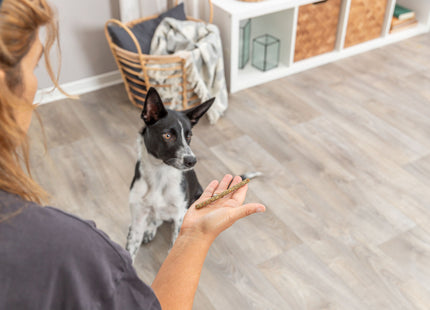 Trixie Vegan Sticks mit Obst und Gemüse, 100 g - Leckere vegane Snacks für Hunde