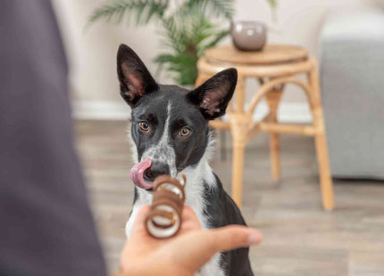 Trixie Denta Fun Beef Chewing Curl - natürliche Kaurollen, braun
