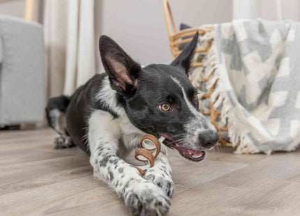 Trixie Denta Fun Beef Chewing Curl - natürliche Kaurollen, braun