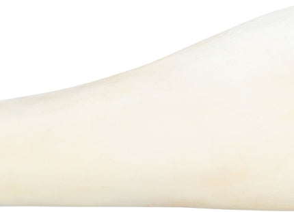 Trixie Schienbein-Knochen gefüllt Rind 15 Stk
