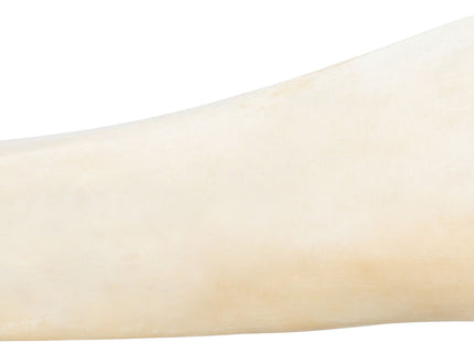 Trixie Schienbein-Knochen gefüllt mit Lamm und Reis, 15 Stück