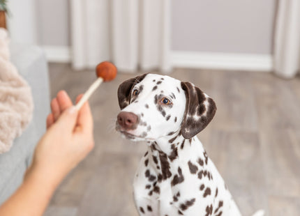Trixie PREMIO Lolly - Hundesnack mit Kabeljau, 60 Stück
