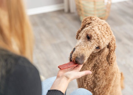 Trixie PREMIO Filets Rind 80g - Leckere Rindfleisch Filets für Hunde, 80g Packung