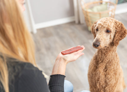 Trixie PREMIO Filets Rind 80g - Leckere Rindfleisch Filets für Hunde, 80g Packung