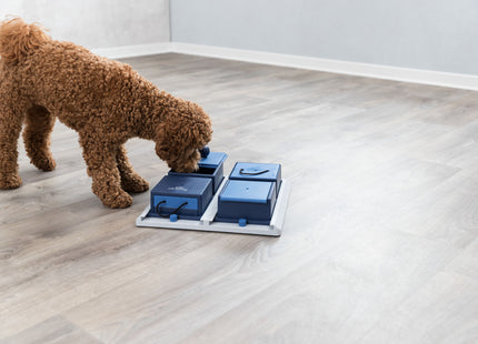 Trixie Dog Activity Poker Box - Hundespielzeug 31x10x31cm