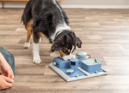 Trixie Dog Activity Poker Box 2 - Hundespielzeug, Kunststoff