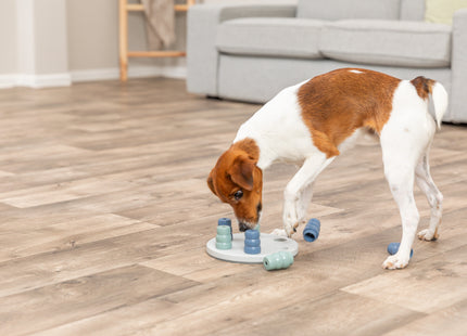 Trixie Dog Activity Mini Solitär Spielzeug für Hunde mit einem Durchmesser von 20 cm