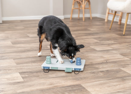 Trixie Dog Activity Move2 Win - Interaktives Hundespielzeug für mentale und körperliche Herausforderungen