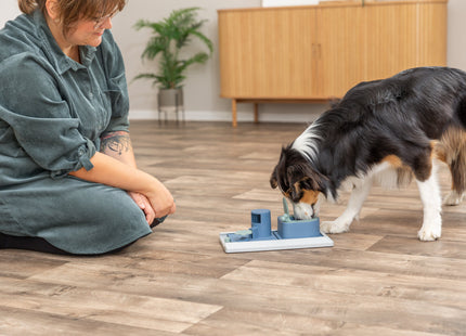 Trixie Dog Activity Poker Box Vario - Interaktives Hundespielzeug für mentale Herausforderung und Spass