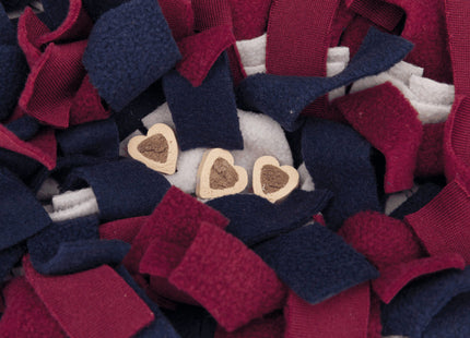 Trixie Activity Schnüffelteppich - Interaktiver Spielteppich für Hunde zur Förderung der Nasenarbeit und geistigen Beschäftigung