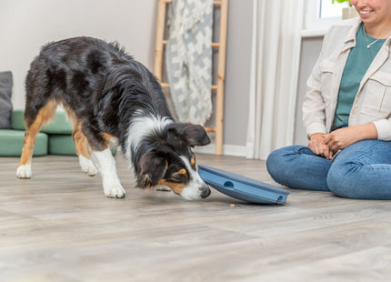 Trixie Dog Activity Rocking Maze aus Kunststoff mit einem Durchmesser von 28 cm