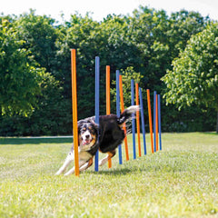 Trixie Agility-Parcours mit 12 Stangen für Hundetraining
