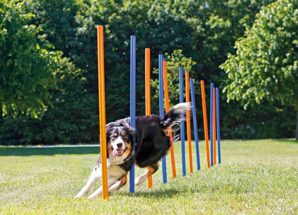 Trixie Agility-Parcours mit 12 Stangen für Hundetraining