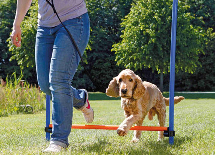 Trixie Agility Hürde für Hundetraining