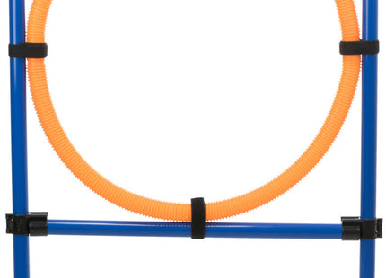 Trixie Agility Ring mit einem Durchmesser von 65 cm