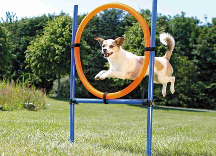 Trixie Agility Ring mit einem Durchmesser von 65 cm