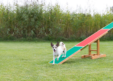 Trixie Agility Wippe für Hunde Training und Spass