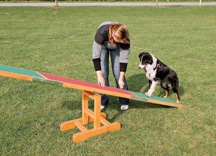 Trixie Agility Wippe für Hunde Training und Spass