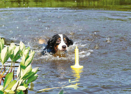 Trixie Dog Activitymot-Aqua 29 cm - interaktives Hundespielzeug in Blau mit 29 cm Durchmesser