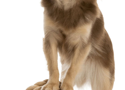 Trixie BE NORDIC Tau-Ball mit einem Durchmesser von 13 cm