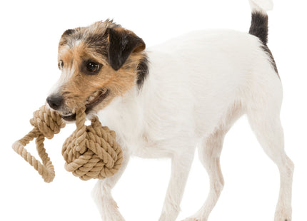 Trixie BE NORDIC Spieltau mit Ball - hochwertiges Spielzeug für Hunde