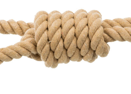 Trixie BE NORDIC Spieltau mit Ball - hochwertiges Spielzeug für Hunde