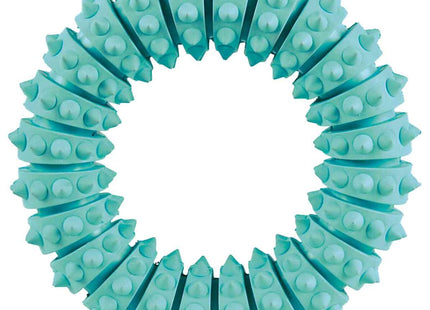 Trixie DENTAfun Ring in Mintfresh aus Naturgummi mit einem Durchmesser von 12 cm