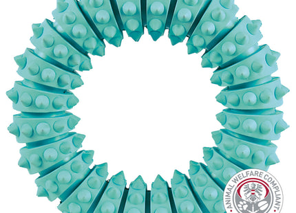 Trixie DENTAfun Ring in Mintfresh aus Naturgummi mit einem Durchmesser von 12 cm