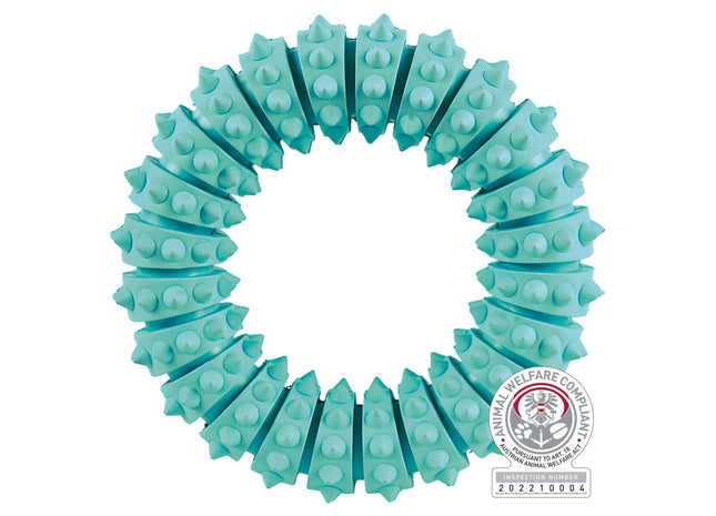 Trixie DENTAfun Ring in Mintfresh aus Naturgummi mit einem Durchmesser von 12 cm