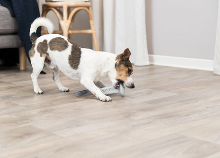 Trixie Snack Glocke am Gurt aus TPR/Polyester