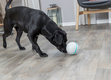 Interaktiver Snackball für Hunde in Grau - Beschäftigung und Belohnung in einem