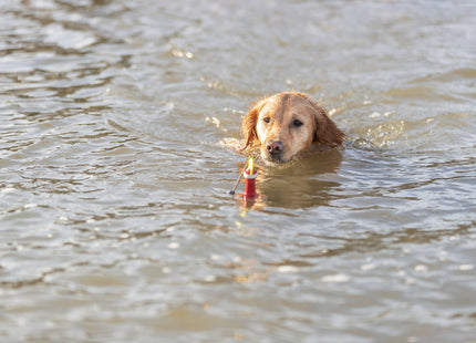 Trixie Aqua Toy Snack Boje aus TPR Material, 19 cm - ideal für interaktives Spiel und Belohnung beim Training