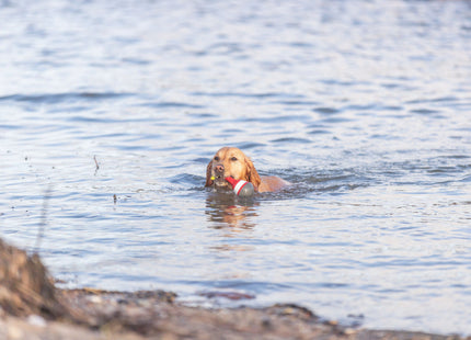 Trixie Aqua Toy Snack Boje aus TPR Material, 19 cm - ideal für interaktives Spiel und Belohnung beim Training