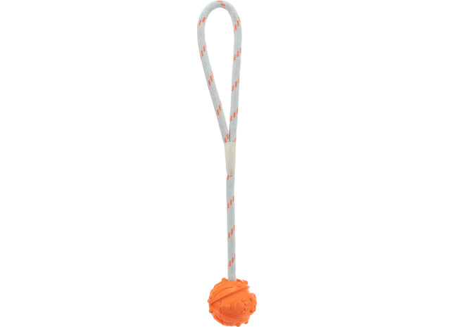 Trixie Ball am Band - schwimmend, Naturgummi