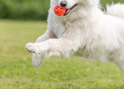 Trixie Wabenball, TPE, orange