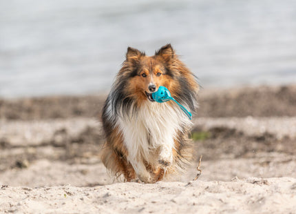 Trixie Wabenball am Seil, TPE/Polyester/Gummi