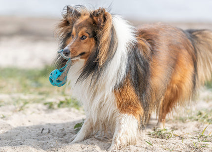 Trixie Wabenball am Seil, TPE/Polyester/Gummi