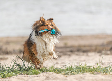Trixie Wabenball am Seil, TPE/Polyester/Gummi