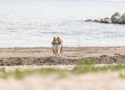 Trixie Wabenball am Seil – flexibles Hundespielzeug