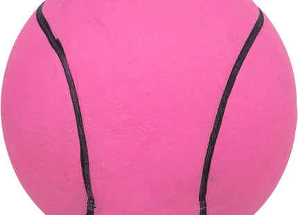 Trixie Spielball schwimmend Moosgummi 6 cm Durchmesser 24 Stück