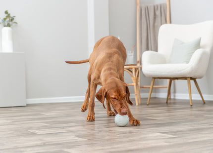 Interaktives gelbes Naturgummi-Labyrinth für Hunde von Trixie