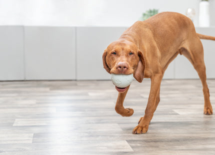 Interaktives gelbes Naturgummi-Labyrinth für Hunde von Trixie
