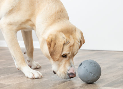 Interaktives Snackspielzeug für Hunde in Pink aus Naturgummi