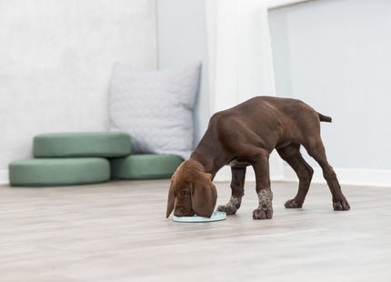 Trixie Junior Schleckplatte ø15 cm mint