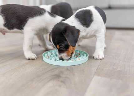 Trixie Junior Schleckplatte ø15 cm mint