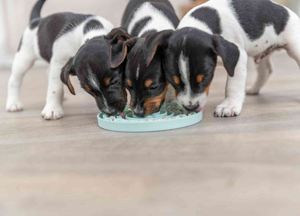 Trixie Junior Schleckplatte - mint, ø15cm