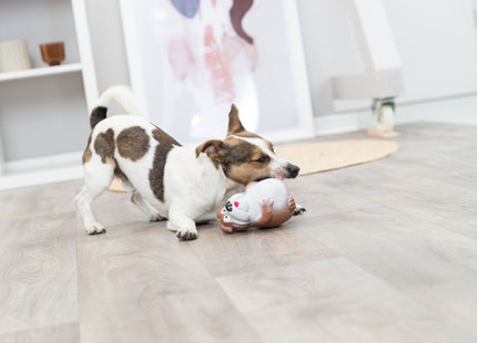 Trixie Hundespielzeug aus Latex, 14 cm - strapazierfähiges und buntes Spielzeug für Hunde