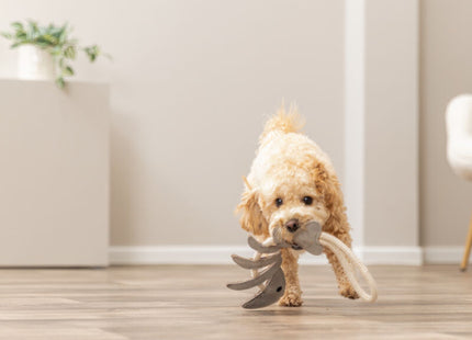 Trixie Fischgräte am Tau – Leder 43cm