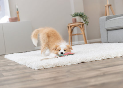 Trixie Drache am Tau - Leder und Tau, 55cm