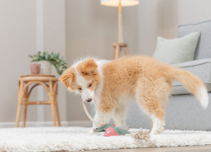 Trixie Drache am Tau - Leder und Tau, 55cm